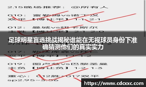 雷竞技RAYBET